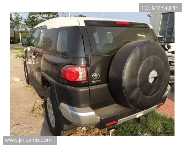 深圳网球队在洲际杯积分榜上以97分稳居第一名展现强劲实力